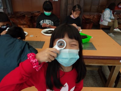 小朋友們拿起放大鏡 認識大樹的鄰居